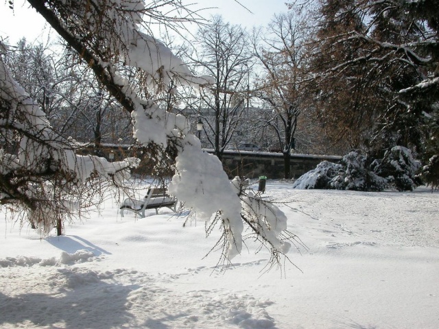 Szeged télen 2
