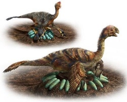 Oviraptoroszaurusz