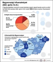 Magyarországi influenzahelyzet (2022. április 18-24.)