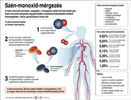 Szén-monoxid-mérgezés