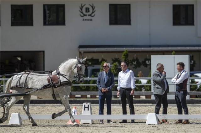 Idén újra megrendezik a Szilvásvárad Masters nemzetközi lovas versenysorozatot