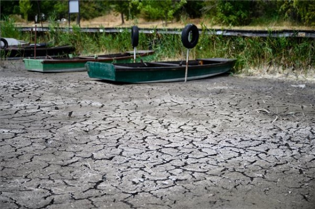 Hőség - Közelíti a valaha mért legalacsonyabb szintet a Velencei-tó vízállása 