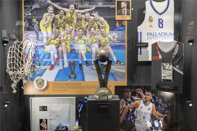 Megnyílt a Magyar Kosárlabda Múzeum a szövetség székházában