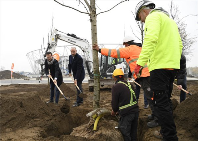 Atlétikai vb 2023 - A magyar atlétika legendái ültettek fákat a Nemzeti Atlétikai Központ parkjában