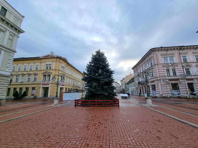 Szeged karácsonyfája