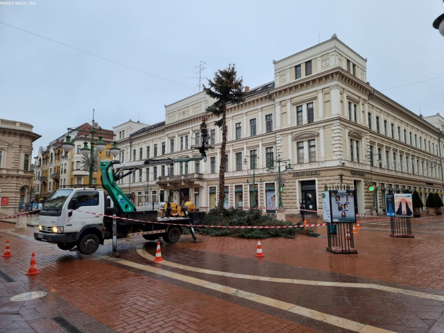 Elbontják Szeged karácsonyfáját és a fényszarvast
