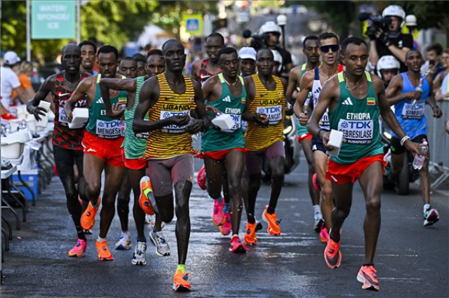 Atlétikai vb - Férfi maraton