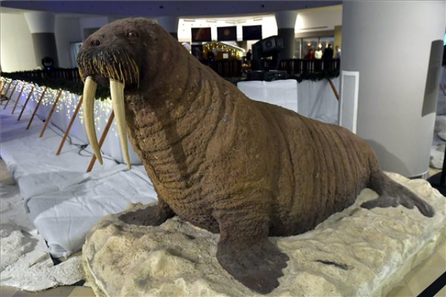 A sarkvidéki élővilágot bemutató időszaki kiállítás és korcsolyapálya nyílt a Természettudományi Múzeumban