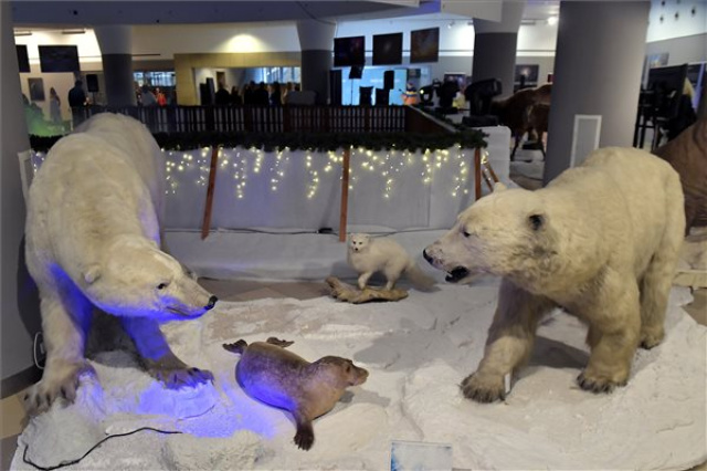 A sarkvidéki élővilágot bemutató időszaki kiállítás és korcsolyapálya nyílt a Természettudományi Múzeumban