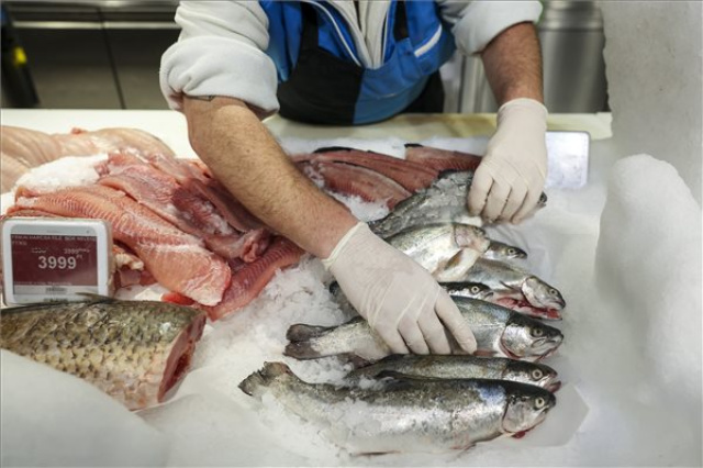 Sajtótájékoztató a halfogyasztás népszerűsítéséről és a halágazat támogatásáról