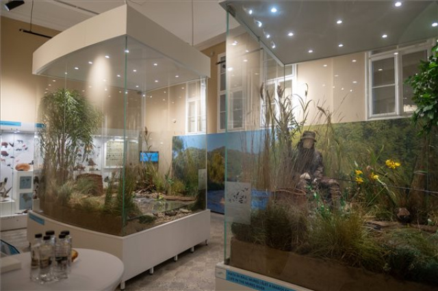 Megnyitották Marosvásárhelyen az európai uniós támogatásból felújított Természetrajzi Múzeumot