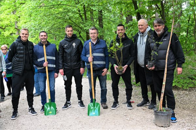 Fát ültettek a ferencvárosi labdarúgók a Budakeszi Vadasparkban